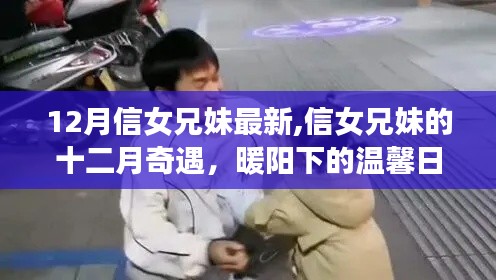 信女兄妹的十二月奇遇，暖阳下的温馨日常最新篇章