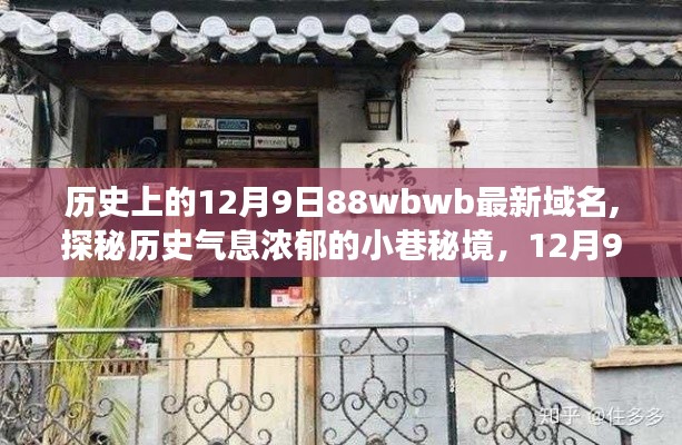 探秘历史气息浓郁的小巷秘境，特色小店之旅之12月9日隐藏域名揭秘日