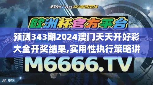 预测343期2024澳门天天开好彩大全开奖结果,实用性执行策略讲解_Tablet9.938