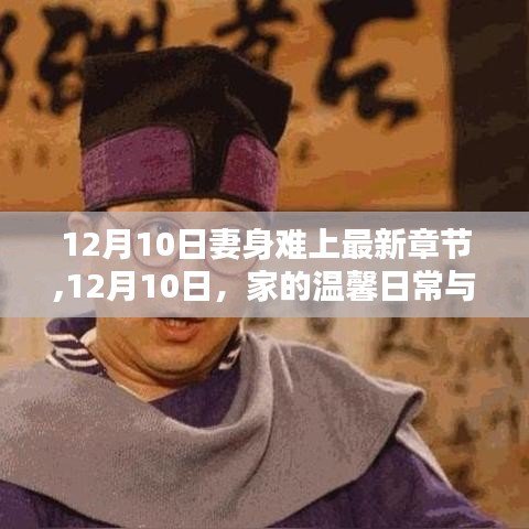 12月10日，家的温馨日常与深情纽带——最新章节及妻子身影的难忘时刻