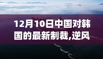 中国对韩国最新制裁背后的力量，激励学习与变化的浪潮