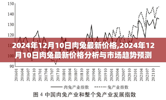 肉兔最新价格动态，市场趋势预测及深度分析