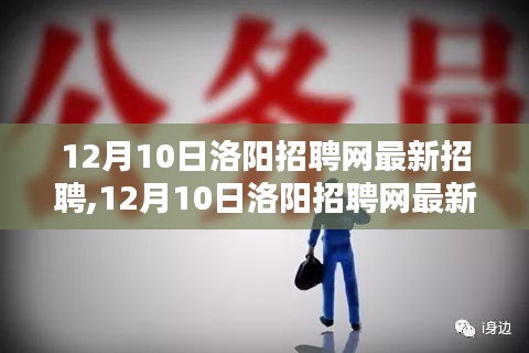 12月10日洛阳招聘网最新招聘产品全面评测与介绍