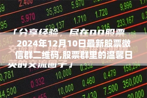 2024年股票微信群二维码分享，一场意外的群聊之旅