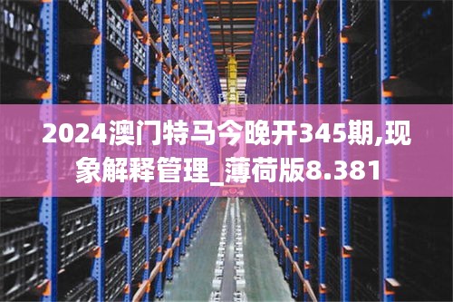 2024澳门特马今晚开345期,现象解释管理_薄荷版8.381