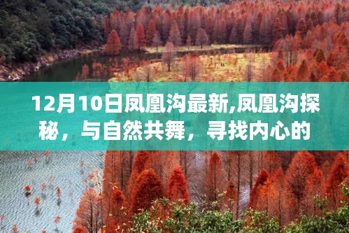 凤凰沟探秘，与自然共舞，心灵宁静之旅（最新更新）