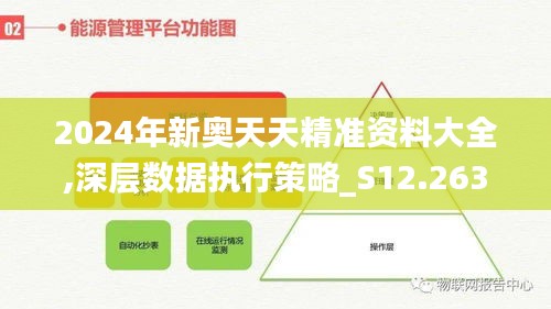 2024年新奥天天精准资料大全,深层数据执行策略_S12.263