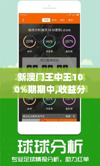 新澳门王中王100%期期中,收益分析说明_DP4.993