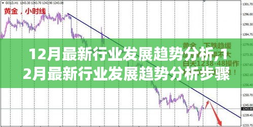 12月最新行业发展趋势分析，步骤指南与前景展望