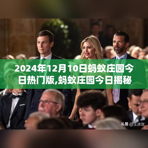 蚂蚁庄园今日揭秘，探秘庄园新篇章，热门版探秘（2024年12月10日）