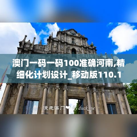 澳门一码一码100准确河南,精细化计划设计_移动版110.115