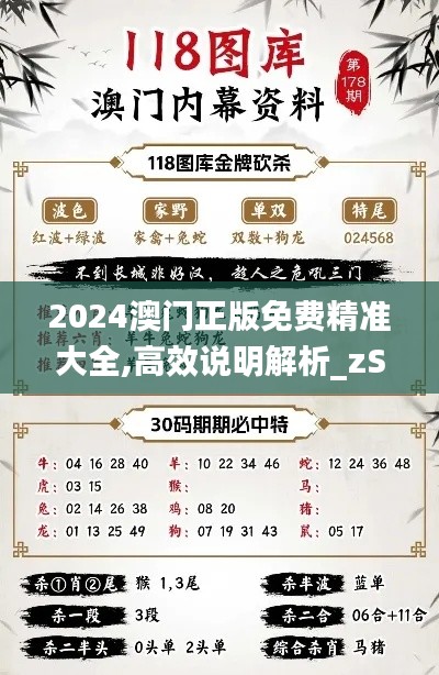 2024澳门正版免费精准大全,高效说明解析_zShop3.677