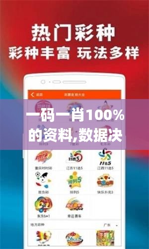 一码一肖100%的资料,数据决策分析驱动_移动版2.702