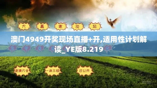 澳门4949开奖现场直播+开,适用性计划解读_YE版8.219