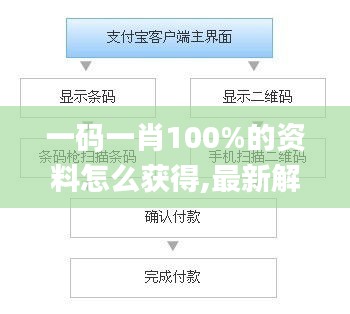 一码一肖100%的资料怎么获得,最新解答解析说明_钱包版10.795