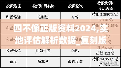 四不像正版资料2024,实地评估解析数据_复刻版17.524