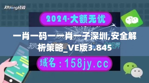 一肖一码一一肖一子深圳,安全解析策略_VE版3.845