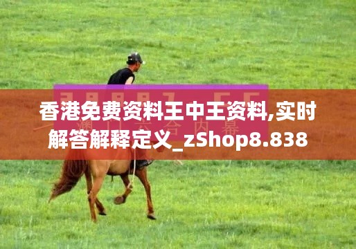 香港免费资料王中王资料,实时解答解释定义_zShop8.838