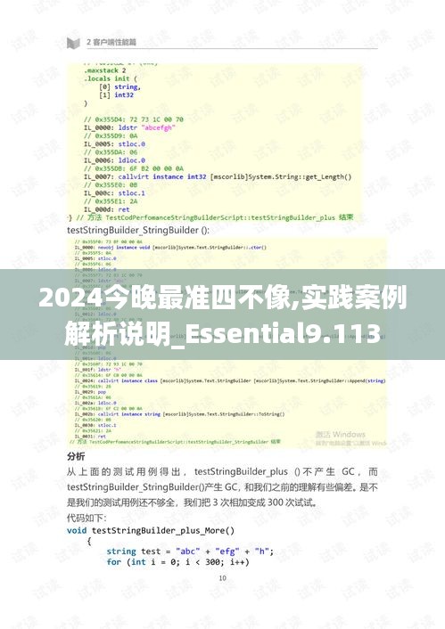 2024今晚最准四不像,实践案例解析说明_Essential9.113