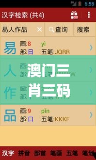 澳门三肖三码精准100%新华字典,灵活解析方案_专业版2.632