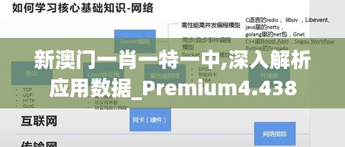 新澳门一肖一特一中,深入解析应用数据_Premium4.438