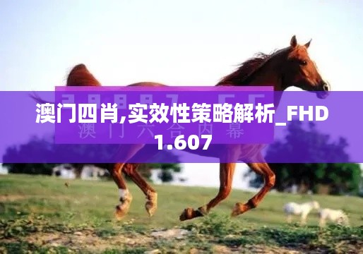 澳门四肖,实效性策略解析_FHD1.607