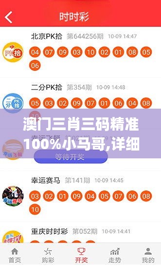 澳门三肖三码精准100%小马哥,详细解读解释定义_尊贵款7.778