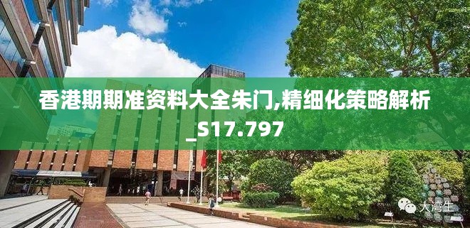 香港期期准资料大全朱门,精细化策略解析_S17.797