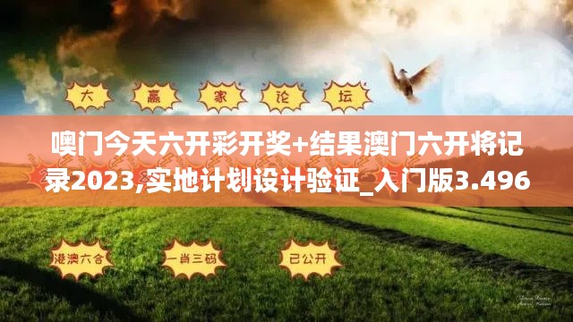 噢门今天六开彩开奖+结果澳门六开将记录2023,实地计划设计验证_入门版3.496