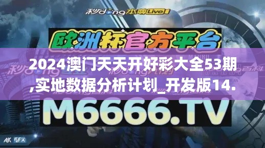 2024澳门天天开好彩大全53期,实地数据分析计划_开发版14.280