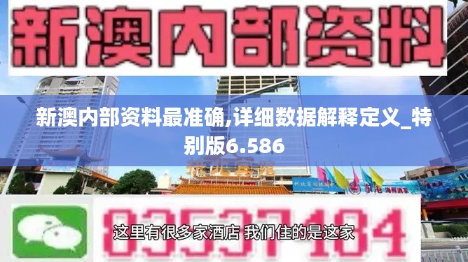 新澳内部资料最准确,详细数据解释定义_特别版6.586