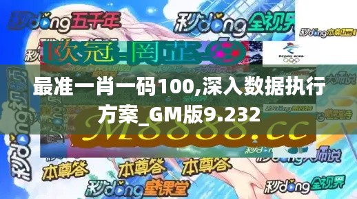 最准一肖一码100,深入数据执行方案_GM版9.232