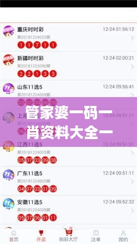 管家婆一码一肖资料大全一语中特,全面设计执行数据_suite7.660