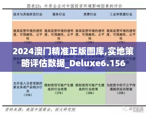 2024澳门精准正版图库,实地策略评估数据_Deluxe6.156