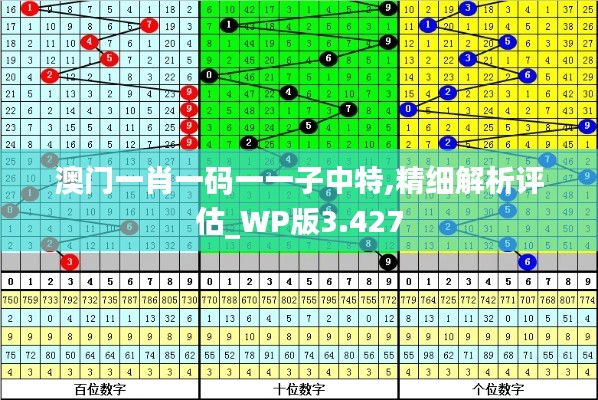 澳门一肖一码一一子中特,精细解析评估_WP版3.427