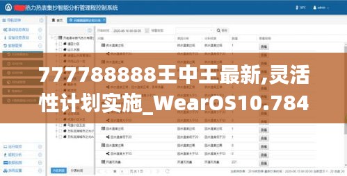 777788888王中王最新,灵活性计划实施_WearOS10.784