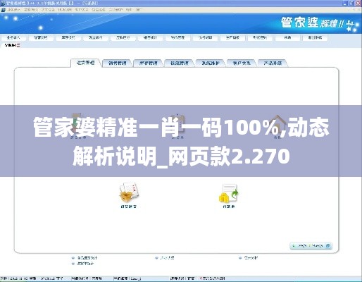 管家婆精准一肖一码100%,动态解析说明_网页款2.270