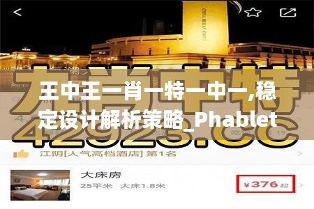 王中王一肖一特一中一,稳定设计解析策略_Phablet7.759