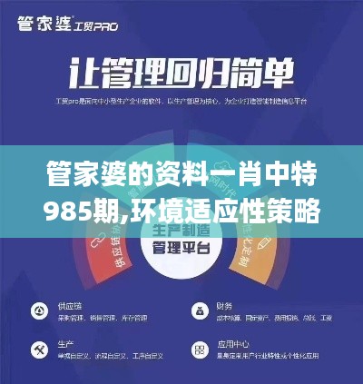 管家婆的资料一肖中特985期,环境适应性策略应用_挑战款15.893