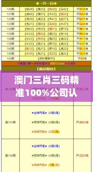 澳门三肖三码精准100%公司认证,持续设计解析策略_开发版17.878