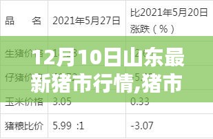 山东猪市行情速递，洞悉猪价走势与未来趋势（12月10日最新动态）