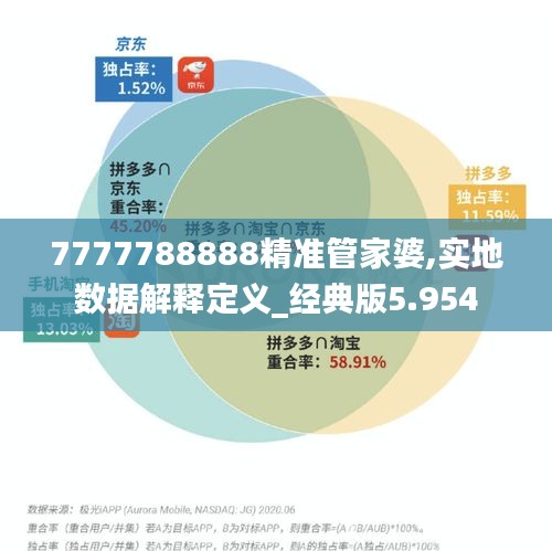 7777788888精准管家婆,实地数据解释定义_经典版5.954