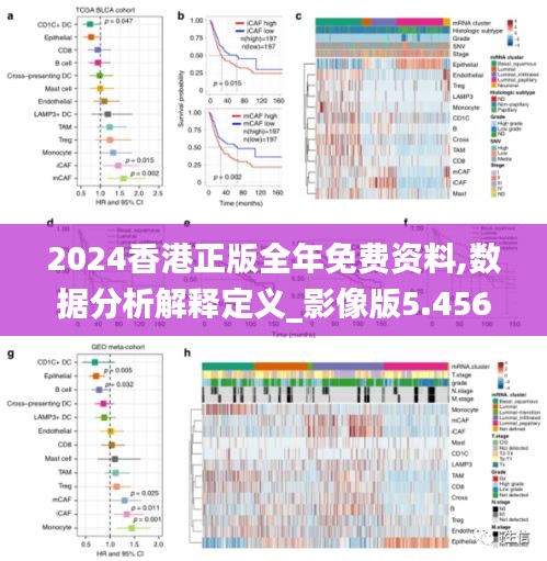 2024香港正版全年免费资料,数据分析解释定义_影像版5.456