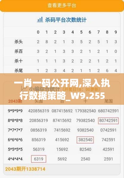 一肖一码公开网,深入执行数据策略_W9.255