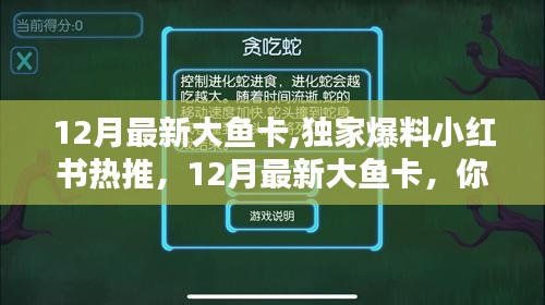 独家爆料，小红书热推12月最新大鱼卡，流量宝藏等你开启！