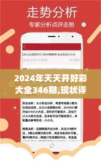 2024年天天开好彩大全346期,现状评估解析说明_定制版6.434