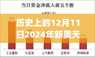 历史上的12月11日2024年新奥天天精准资料大全,实地数据评估方案_工具版1.128