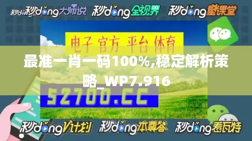 最准一肖一码100%,稳定解析策略_WP7.916