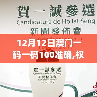 12月12日澳门一码一码100准确,权威说明解析_PT4.378