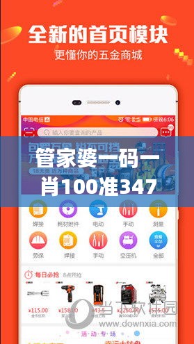 管家婆一码一肖100准347期,实践说明解析_升级版6.204